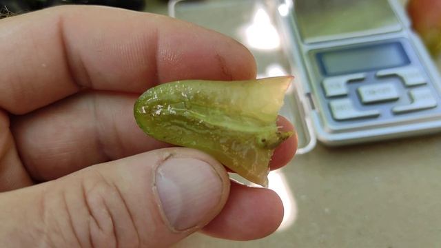 Диксон Кармен виноград Теплова Татьяна Теплов Дмитрий смотреть онлайн