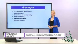Биология. 8 класс. Свойства и функции углеводов и липидов /15.09.2020/