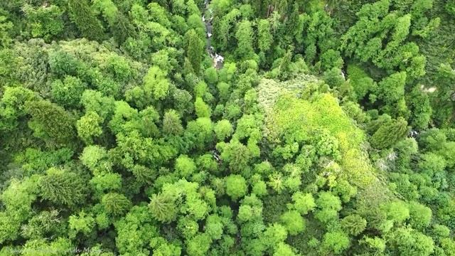 Нежная лечебная музыка для здоровья и успокоения нервной системы, глубокой релаксации смотреть онлайн