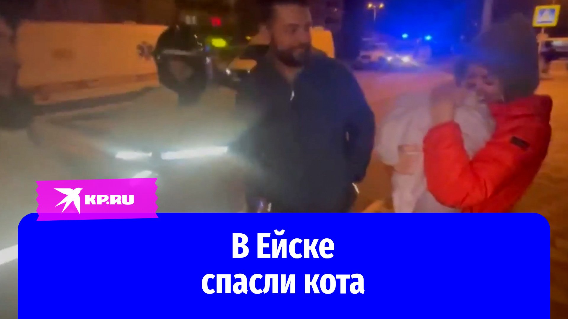 Кот выжил после крушения самолета дома в Ейске