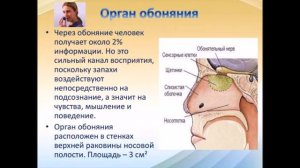 Биология 9 Органы чувств и охрана здоровья человека