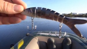 рыбалка на с пининг ярославль