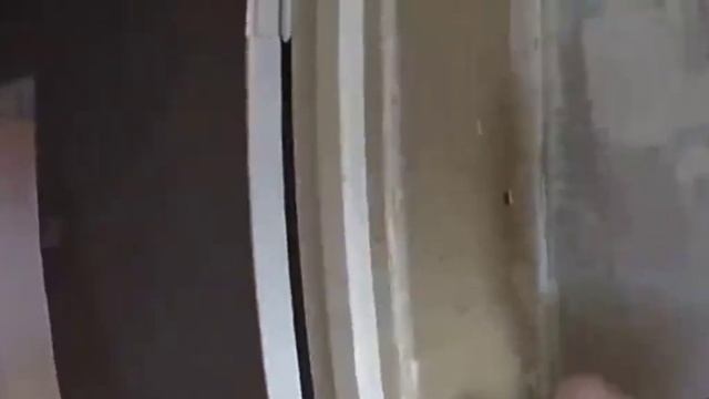 мини документалка о проекте кишлака "писък" смотреть онлайн