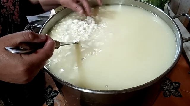 сыр голландский гауда бесплатный мастер класс. Как приготовить твёрдый выдержаный сыр. Рецепт