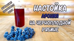 #Арония Быстрый рецепт настойка на черноплодной рябине в домашних условиях своими руками