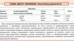 6 Класс. Урок 32. Дистанционное обучение. Описание внешности человека. Порядок прилагательных.