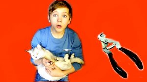 БЕДНАЯ моя  КОШЕЧКА Марфа! Как же тебе из-за МЕНЯ  было БОЛЬНО...