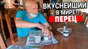 Самый вкусный в мире кампотский перец Азия 2022