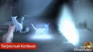 Коты-Воители Звёздное племя