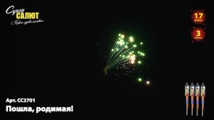 Ракеты Пошла Родимая (4шт.) СС2701