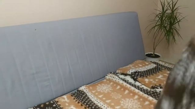 Плед с рукавами Северный мотив - Mypleds.ru