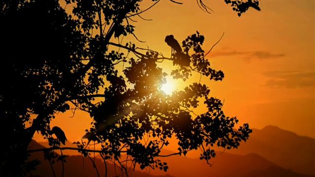 АСМР ОТКРЫТИЯ, КОТОРЫХ НИКОГДА НЕ БЫЛО. ЭЛЬДОРАДО. ЛЮДИ И МИФЫ. ЧАСТЬ 1 смотреть онлайн