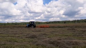 Грабли Харвест SWR9 в работе.
