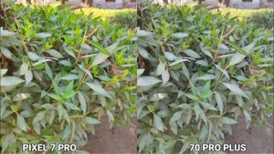 Google Pixel 7 Pro Vs Honor 70 Pro Plus Camera Test