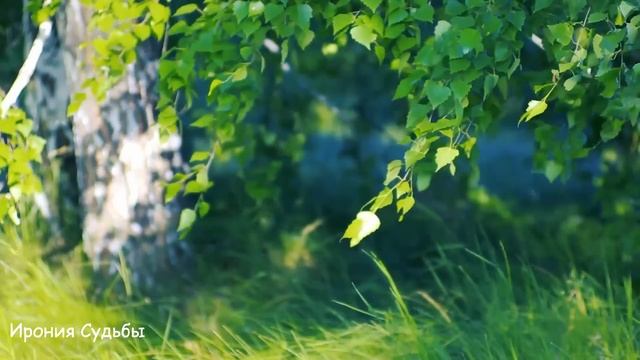 Свекровь годами клеветала на Аню, и муж выгнал ее из дому, а через несколько лет... смотреть онлайн