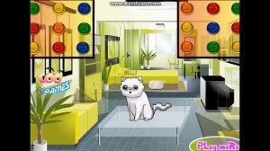 Пукающий кот