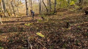 Строим ЗЕМЛЯНКУ В ЛЕСУ | Первый опыт - Пролог