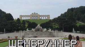 Вена