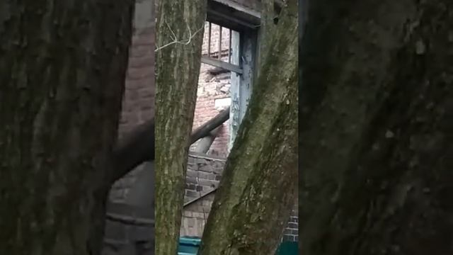 замок драфа кракулы в Сокольниках смотреть онлайн