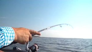 Горьковское водохранилище. Рыбий жыр. Выпуск 2