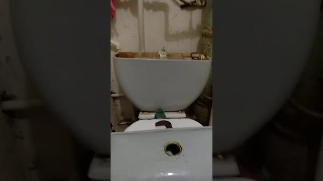 старый унитаз с современным оборудованием смотреть онлайн