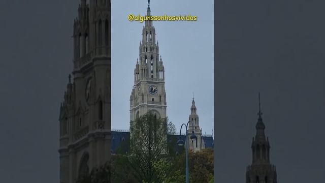 #Shorts - Vienna - Vienna City Hall - Wiener Rathaus