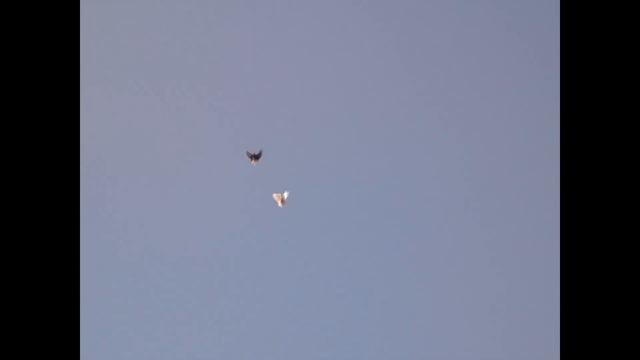 5 ноября пос новоэкономическое красные смотреть онлайн