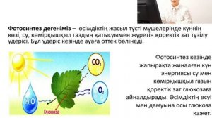 Өсімдіктердің тыныс алу, 7 сынып, биология