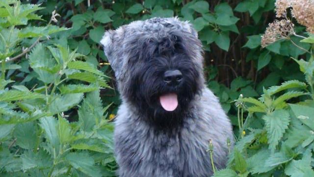 Family Flight holidays-part-2 смотреть онлайн