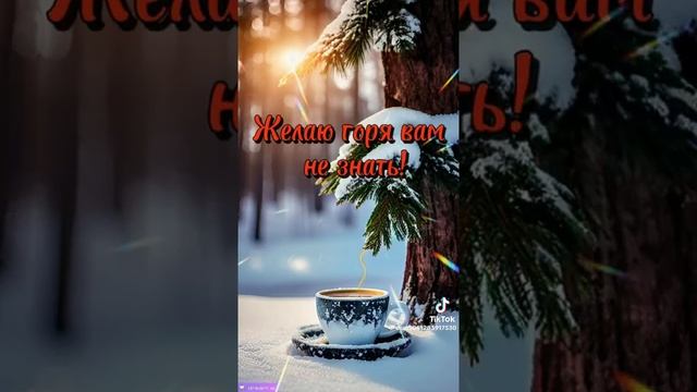 Доброе утро друзья. ?️.mp4
