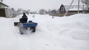 Муравей чистит снег