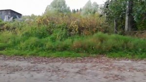 Путешествуем по Валдаю:оз. Шлино,оз. Вельцо, р. Шлина,дер. Мартюшино.....🌊🌊🌊🥀🌿🍁🌹