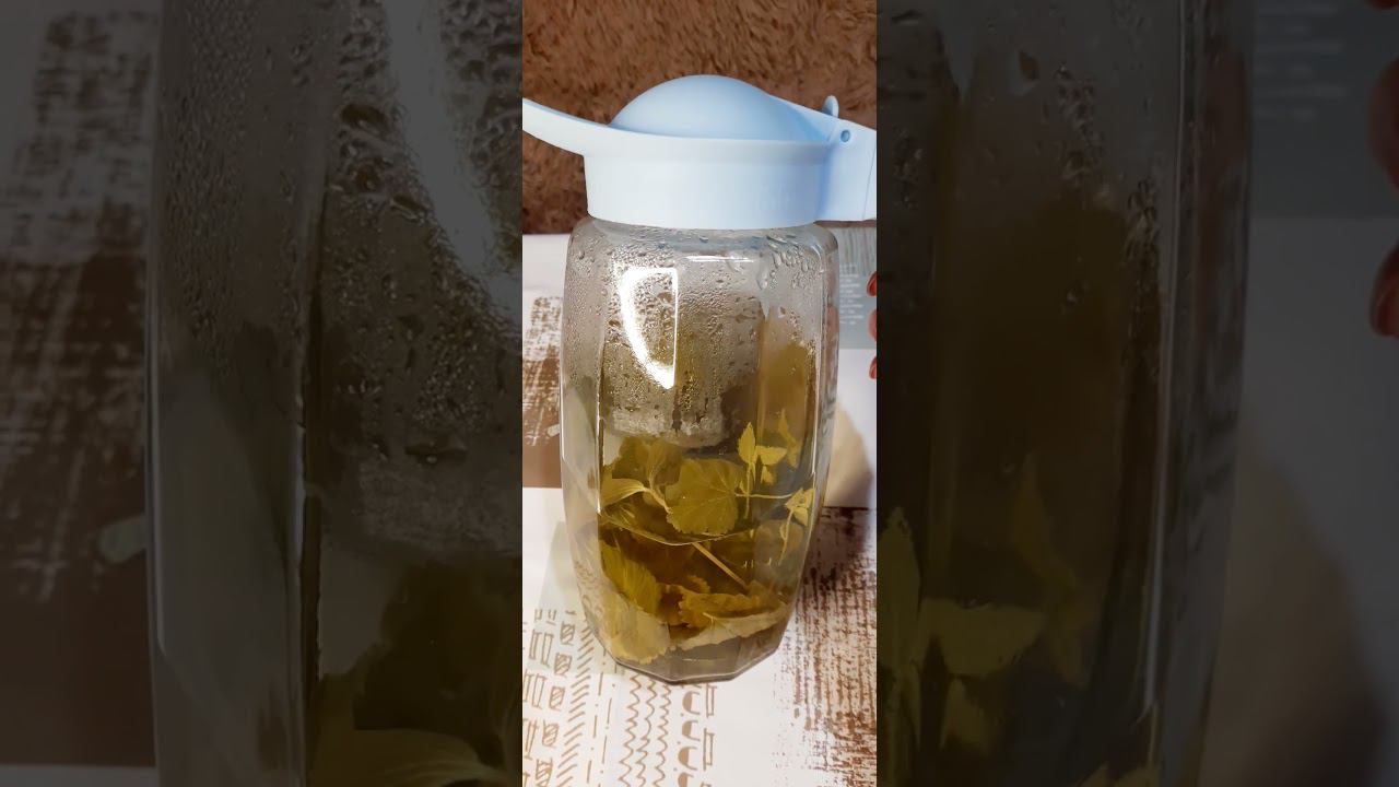 Вкусный летний чай // Natalyana S / Натальяна С #чай #tea #лето #сад #нижнийтагил #листья