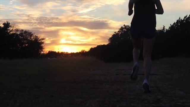 NIKE ZOOM AIR VOMERO 14 REVIEW | Pegasus 35 REACT? смотреть онлайн