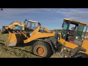 Дружным коллективом на заготовке силоса!