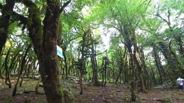 Каньон ПСАХО Как добраться Сочи дорога на КРАСНУЮ ПОЛЯНУ смотреть онлайн