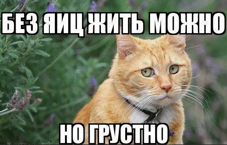 ❗️В Беларусии педофилов будут КАСТРИРОВАТЬ !!!
