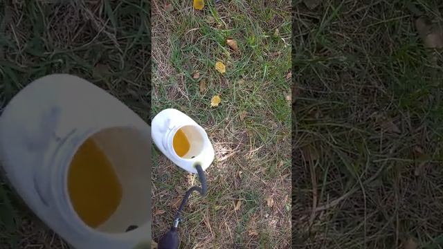 шприц для масла смотреть онлайн