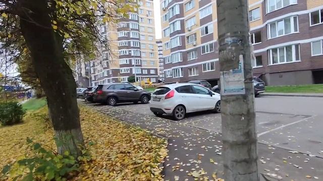 ПОГОДА 29.09.2022, ГРИБОВ НЕТ. смотреть онлайн