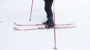 Встаём на лыжи!!! Правила и основные элементы техники катания на лыжах