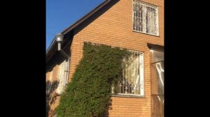 Снт Фрунзенец