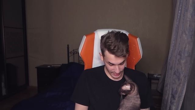 ВЫБИРАЮ ПОПУГАЯ смотреть онлайн