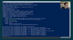 Windows v Linux: Compare .NET Core hosting (Install ASP.NET Core on both)