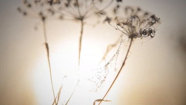 "В горнице моей" Николай Рубцов, Александр Морозов, Исполнение дуэт Лена Петрова и НаталИя Ежкова смотреть онлайн