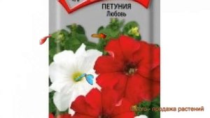 Петуния обыкновенная Любовь (lyubov) ? петуния Любовь обзор: как сажать семена петунии Любовь