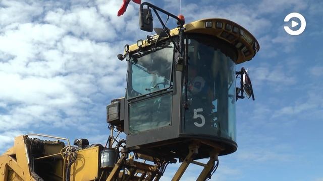 В Пензенской области приступили к уборке сахарной свеклы