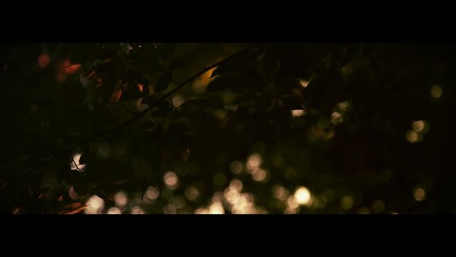 Canon 5D video 24-105mm L смотреть онлайн