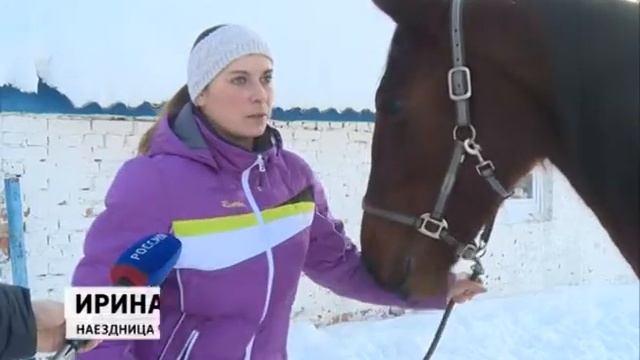 Ульяновская гнедая кобыла признана самой резвой в России смотреть онлайн