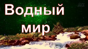 Водный мир