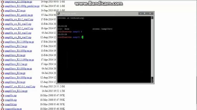 [SA:MP] Установка сервера на VPS / VDS смотреть онлайн